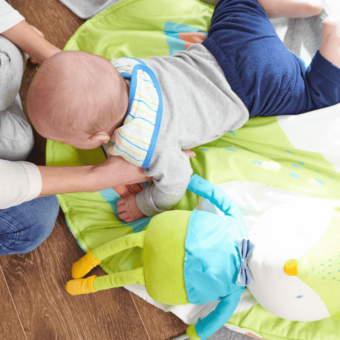 Goosewaddle® Fox Stroller Blanket