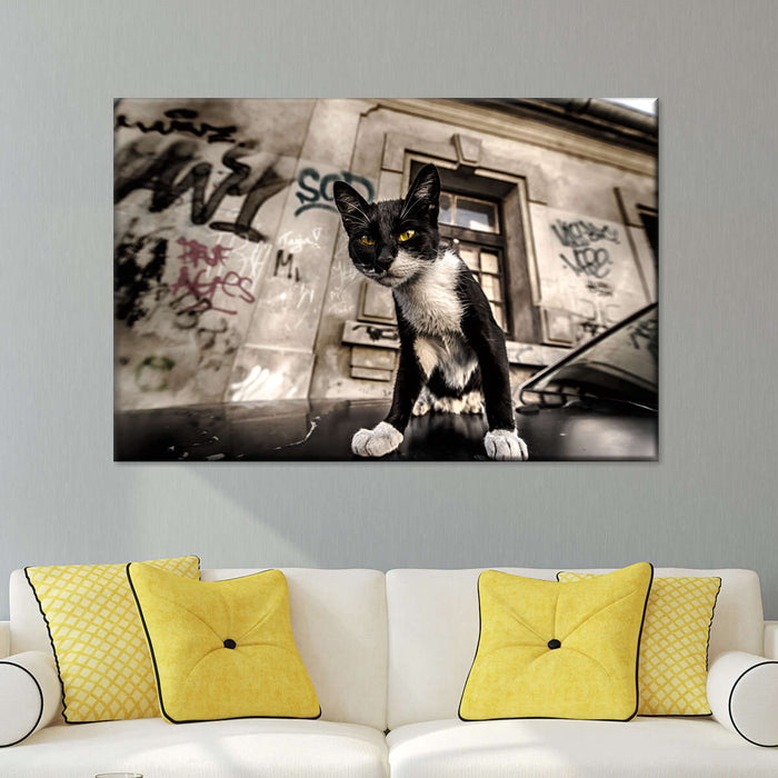 ElephantStock Alley Cat Wall Art