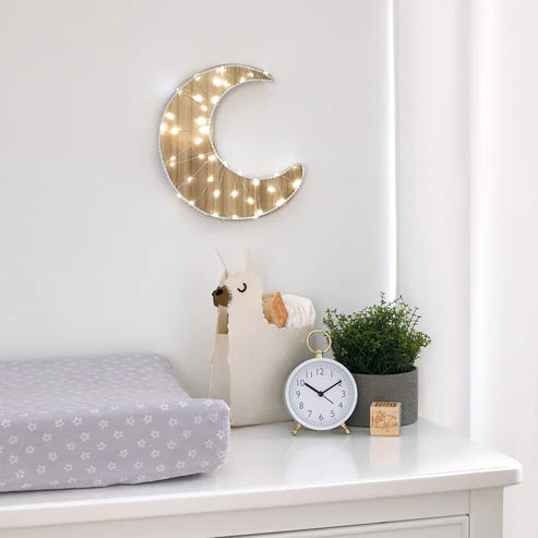 Little Love by NoJo Lighted LED Wall Decor