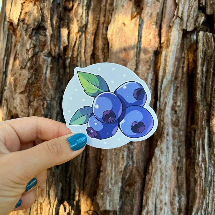 Stick With Finn Blueberries Sticker