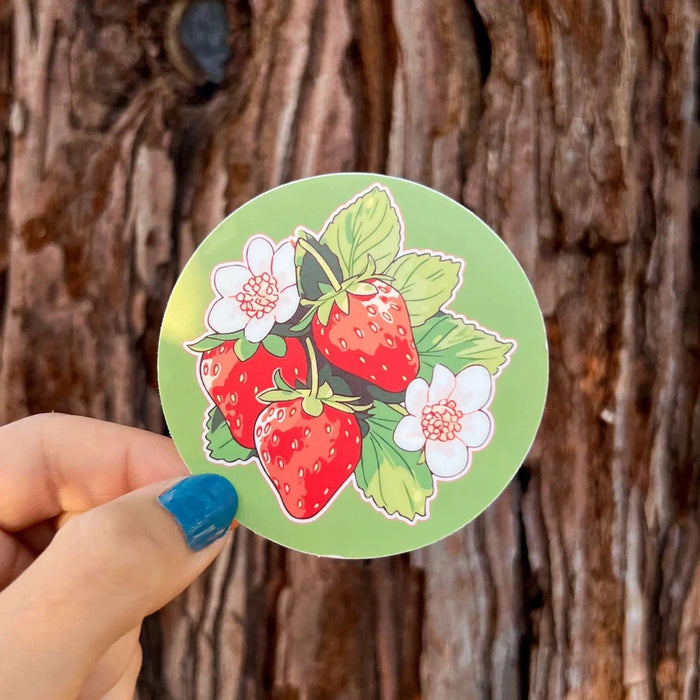 Stick With Finn Strawberry Bunch Sticker