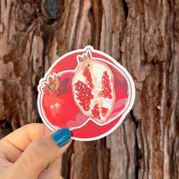 Stick With Finn Pomegranate Sticker