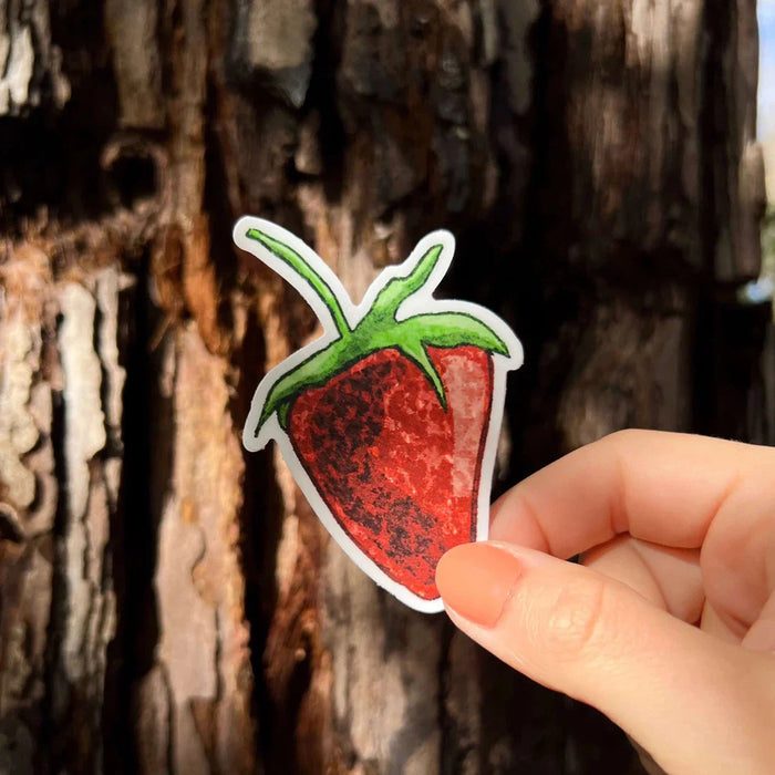 Stick With Finn Jam Session Strawberry Sticker