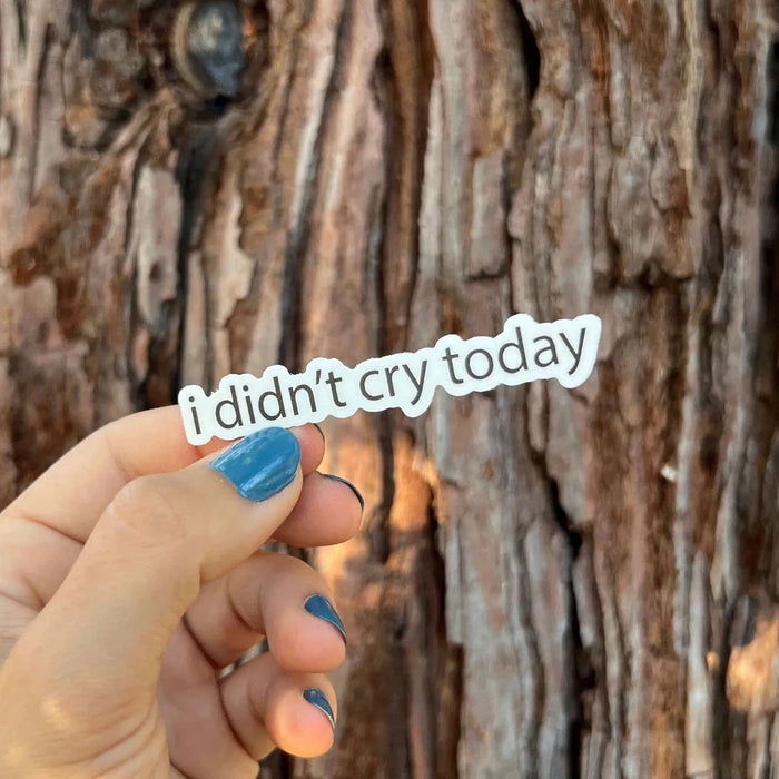 Stick With Finn "i didn’t cry today" Sticker