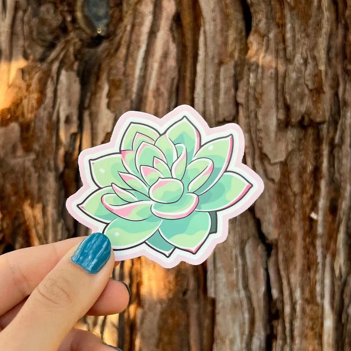 Stick With Finn Succulent Sticker