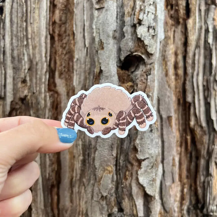 Stick With Finn Jumping Spider Sticker