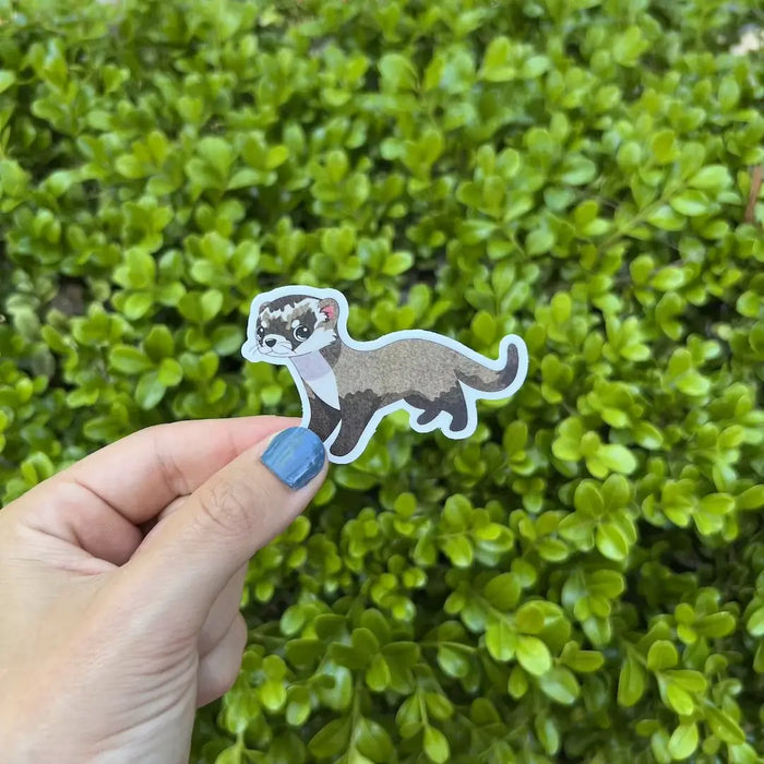 Stick With Finn Black-Footed Ferret Sticker