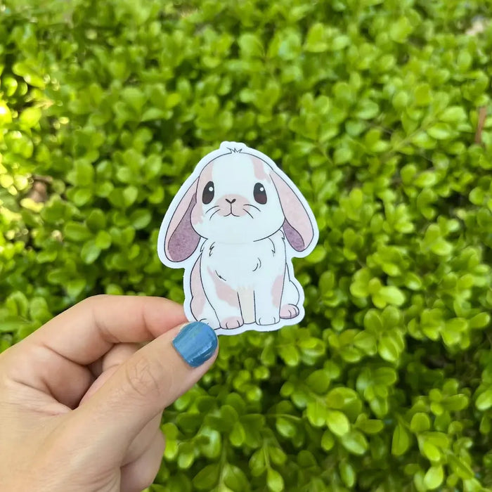 Stick With Finn Pink Holland Lop Sticker