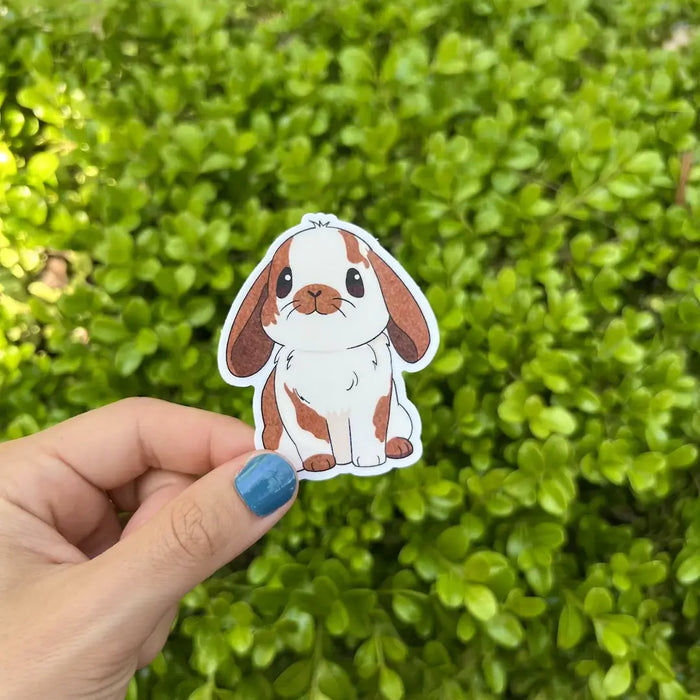 Stick With Finn Beige Holland Lop Sticker