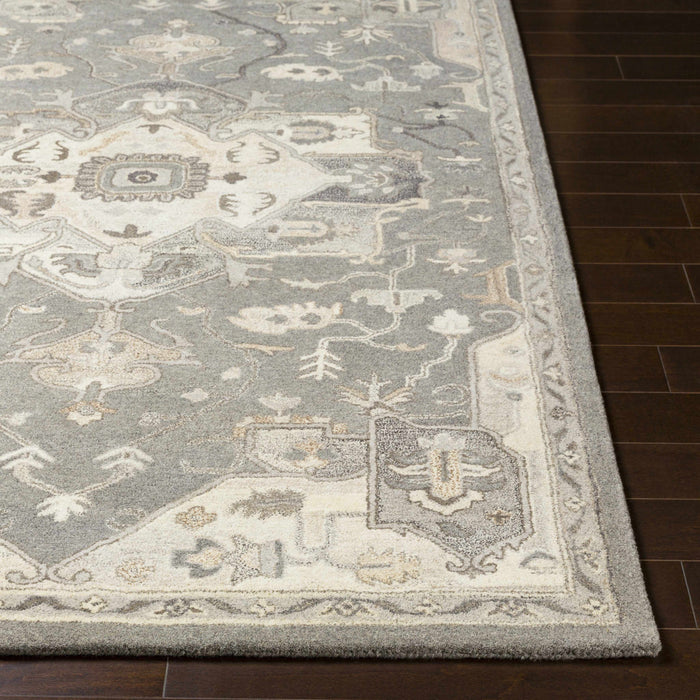 Hauteloom Broomfield 1196 Hand Tufted Taupe Wool Rug