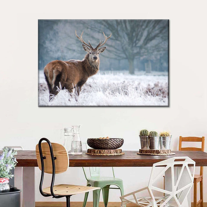 ElephantStock Deer Stare Wall Art