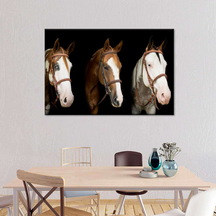 ElephantStock American Paint Horses Wall Art