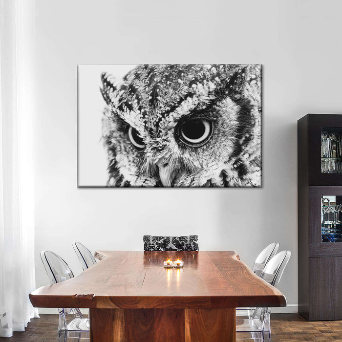 ElephantStock Staring Owl Wall Art