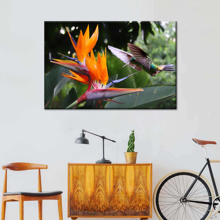 ElephantStock Flying Hummingbird Wall Art