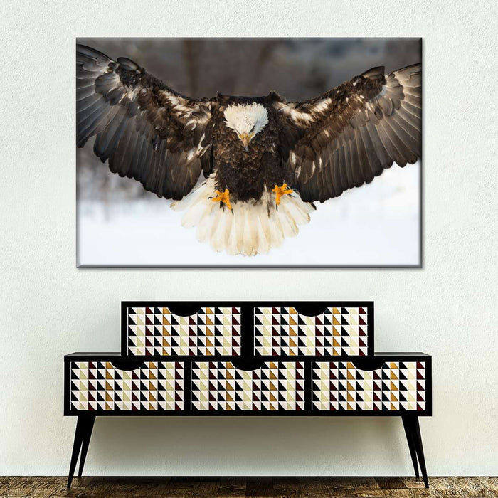 ElephantStock Bald Eagle Landing Wall Art