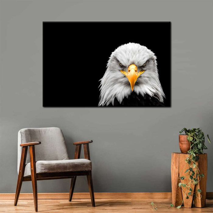 ElephantStock Angry Bald Eagle Wall Art