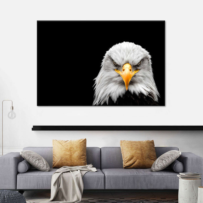 ElephantStock Angry Bald Eagle Wall Art