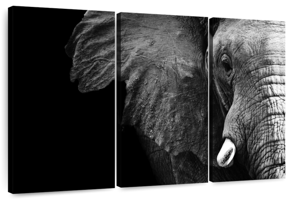 ElephantStock Wise Elephant Wall Art