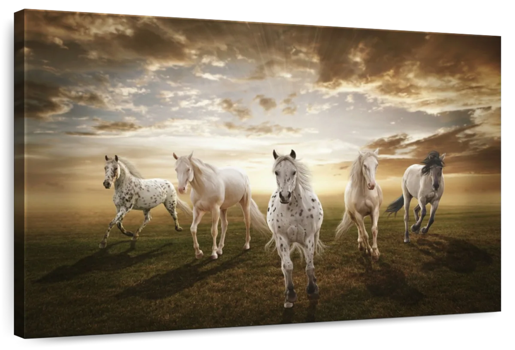 ElephantStock Dramatic White Horses Wall Art