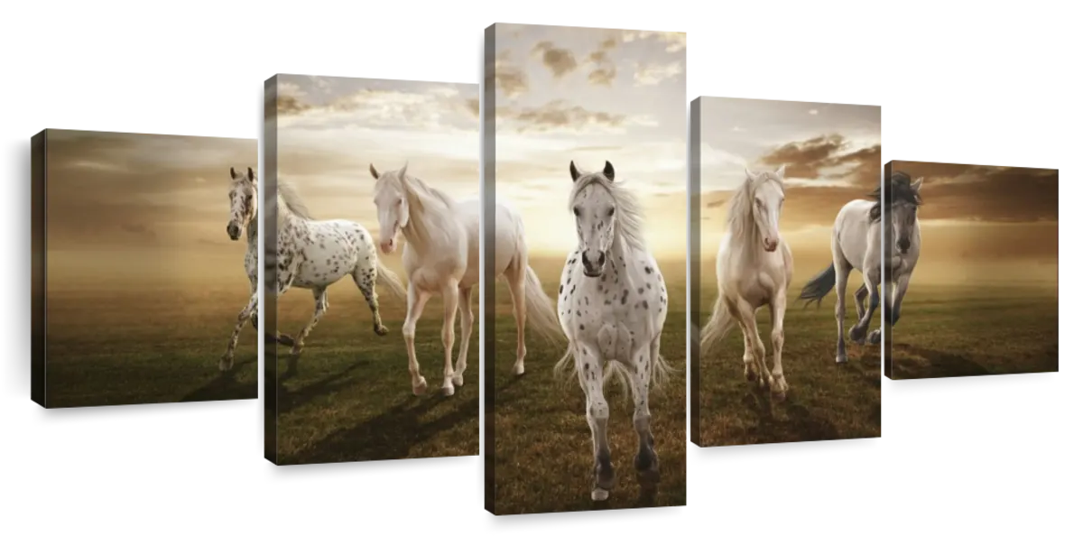 ElephantStock Dramatic White Horses Wall Art