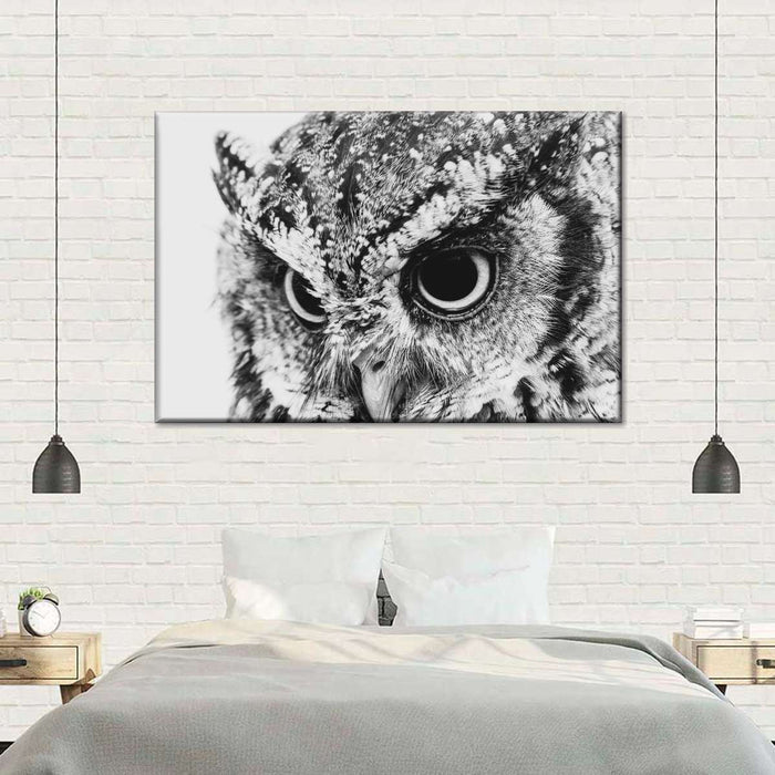 ElephantStock Staring Owl Wall Art