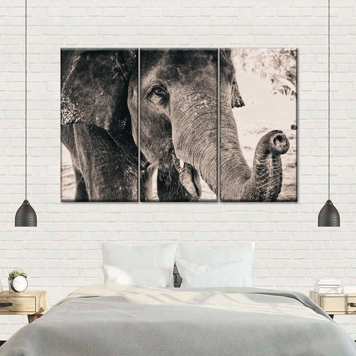 ElephantStock Elephant Up Close Wall Art