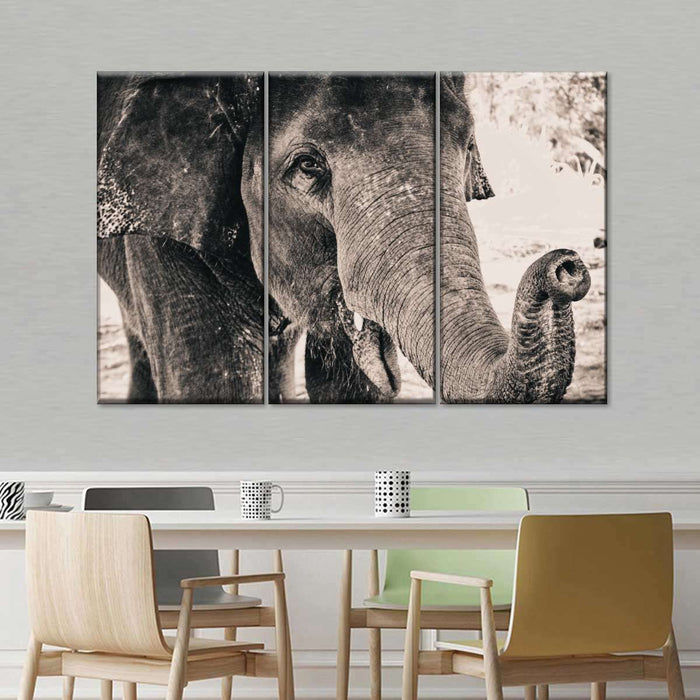 ElephantStock Elephant Up Close Wall Art