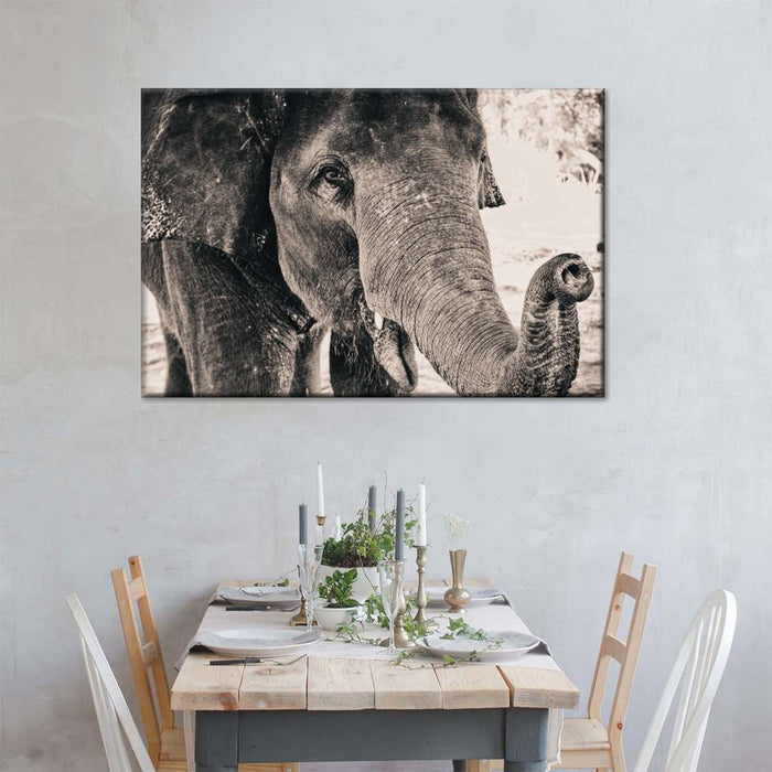 ElephantStock Elephant Up Close Wall Art