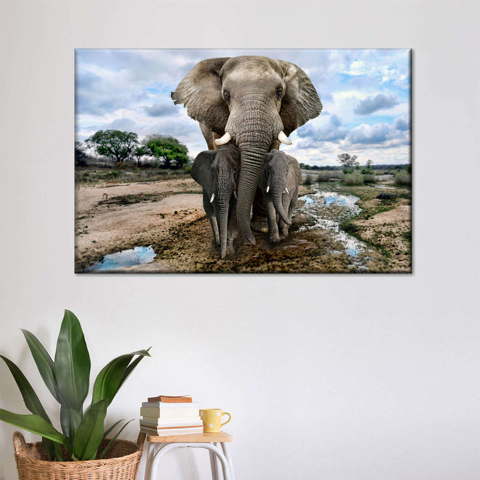 ElephantStock Safari Elephants Wall Art