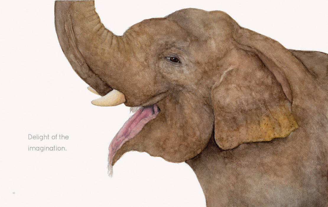 Creative Company I Am Elephant Book