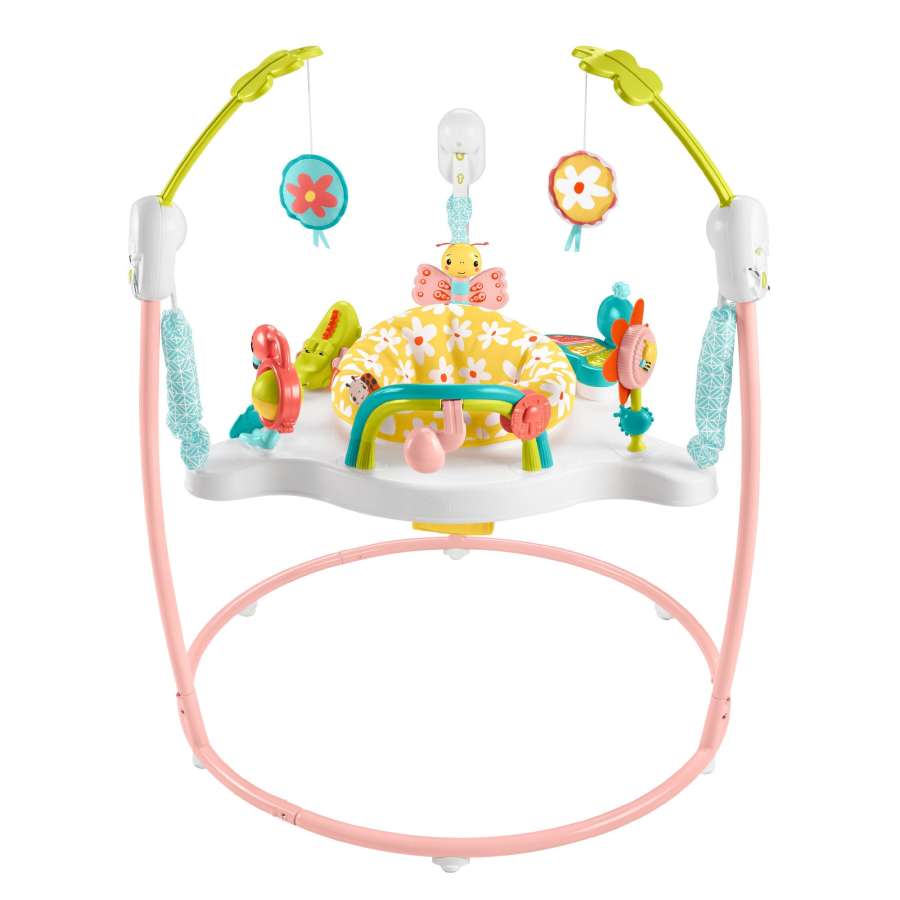 Fisher-Price Baby Bouncer Blooming Fun Jumperoo Activity Center