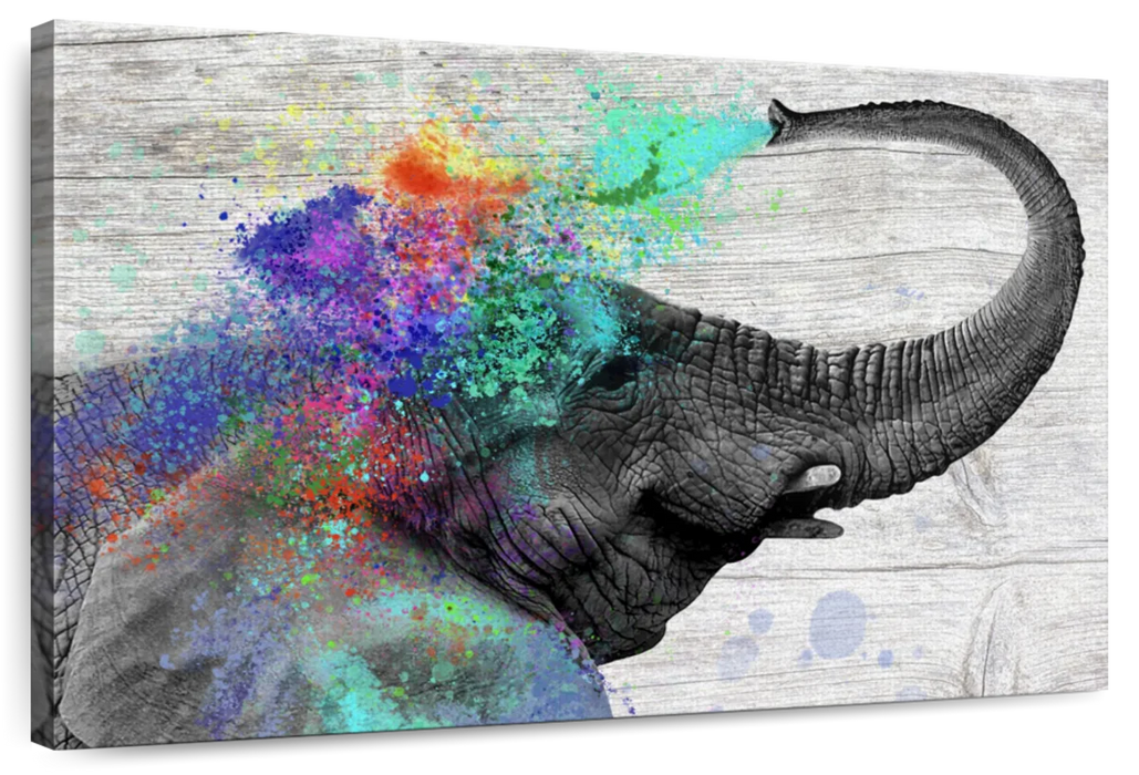 ElephantStock Colorful Elephant Splash Wall Art