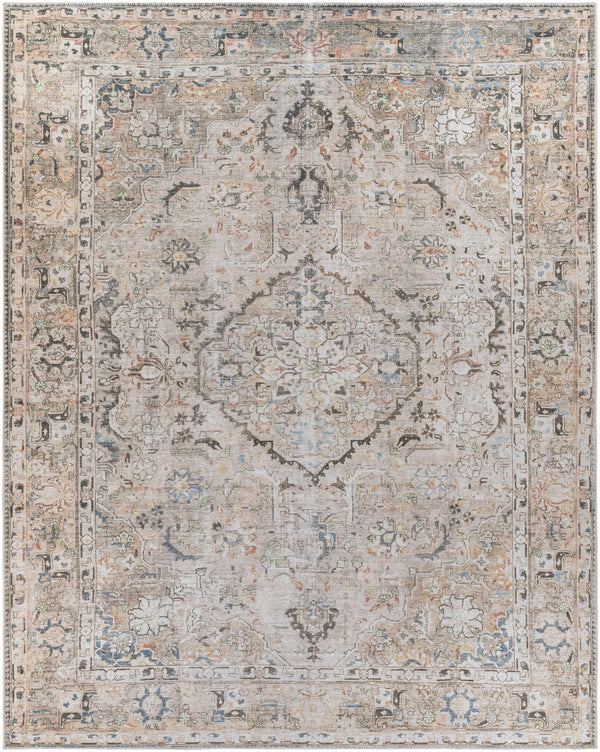 Hauteloom Brown Standon Vintage Washable Area Rug