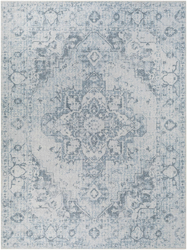 Hauteloom Ankti Aqua Washable Area Rug