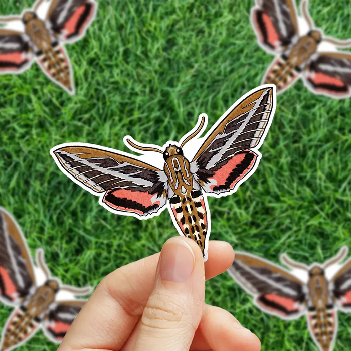 Stick With Finn White-Lined Sphinx Moth Sticker