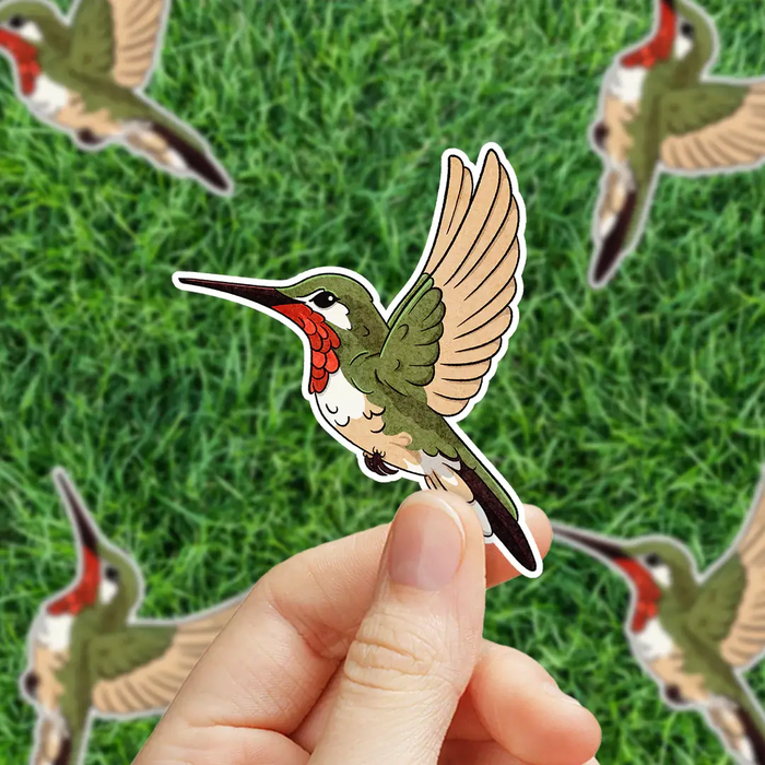 Stick With Finn Ruby Throated Hummingbird Sticker