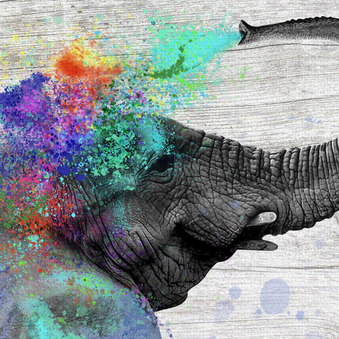 ElephantStock Colorful Elephant Splash Wall Art