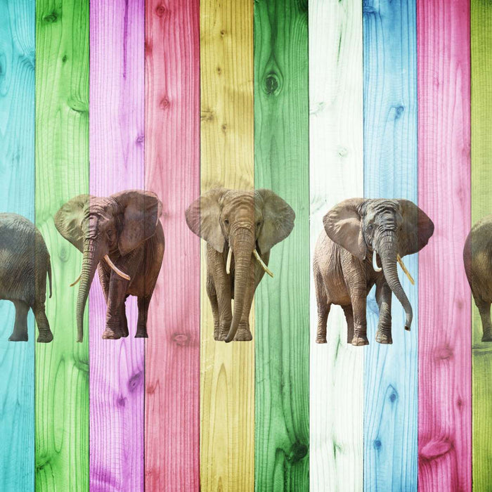 ElephantStock Color Stripe Elephants