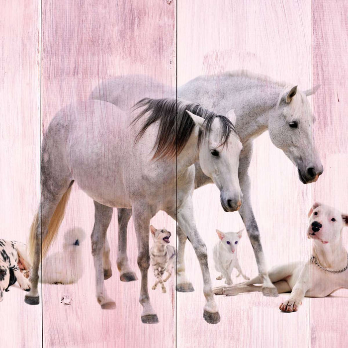 ElephantStock Dogs And Horses Wall Art