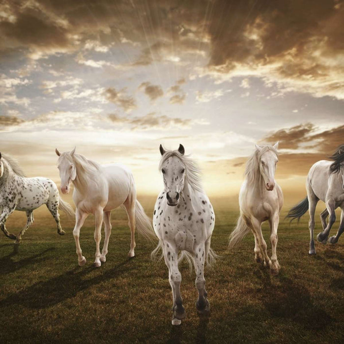 ElephantStock Dramatic White Horses Wall Art