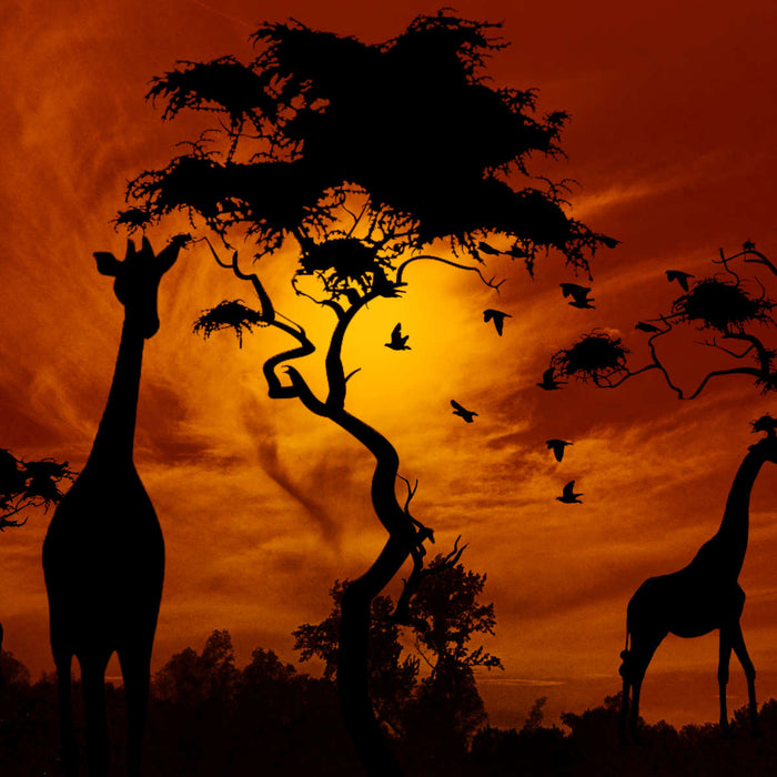 ElephantStock Silhouetted African Giraffes Wall Art