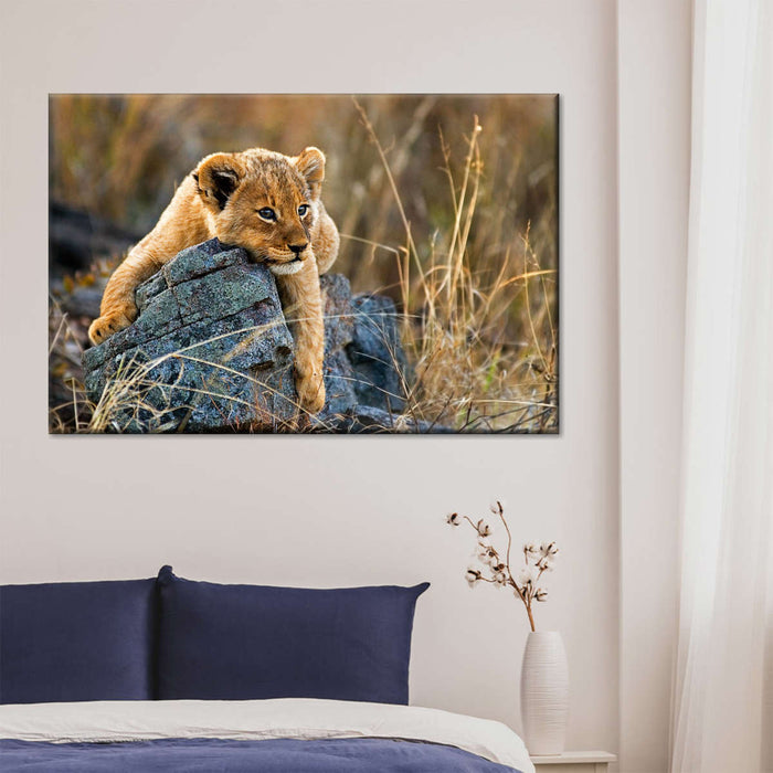 ElephantStock Safari Lion Cub Wall Art