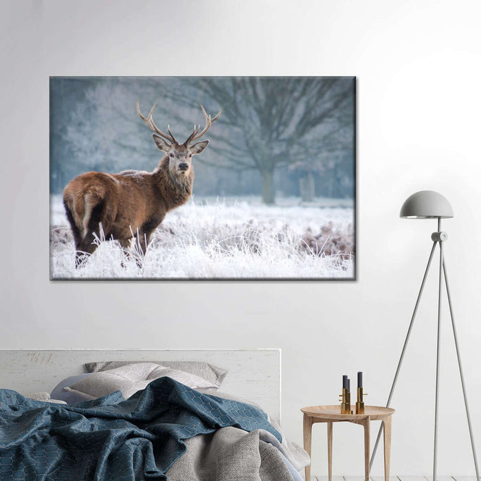 ElephantStock Deer Stare Wall Art