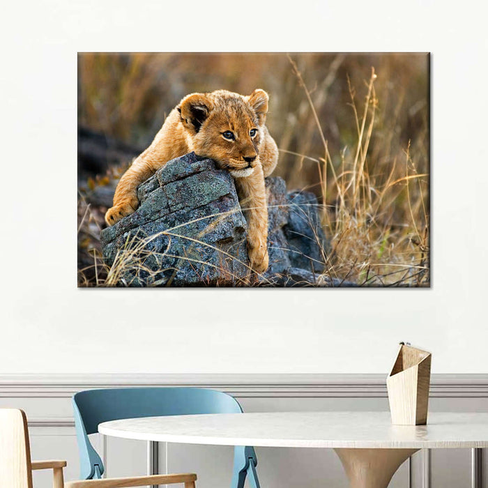 ElephantStock Safari Lion Cub Wall Art