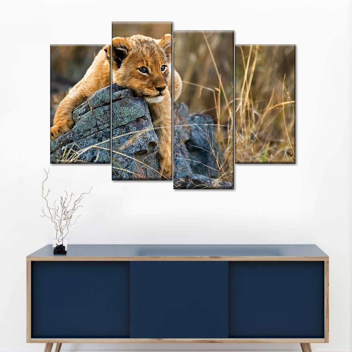 ElephantStock Safari Lion Cub Wall Art