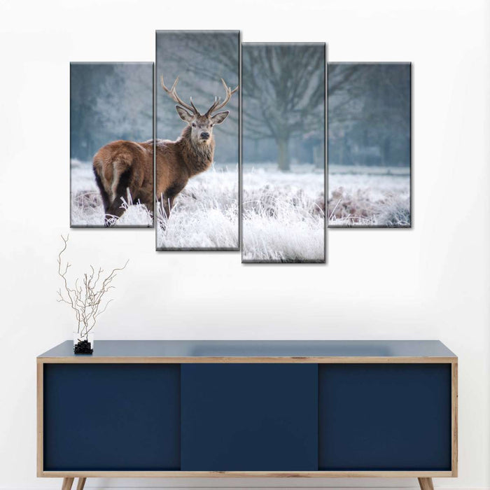 ElephantStock Deer Stare Wall Art