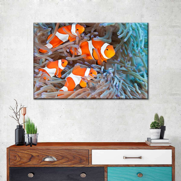 ElephantStock Clown Fish Wall Art