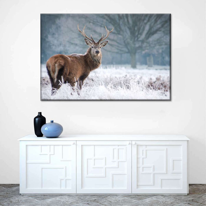 ElephantStock Deer Stare Wall Art