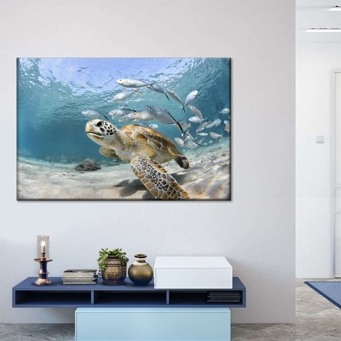 ElephantStock Curacao Fish And Turtle Wall Art