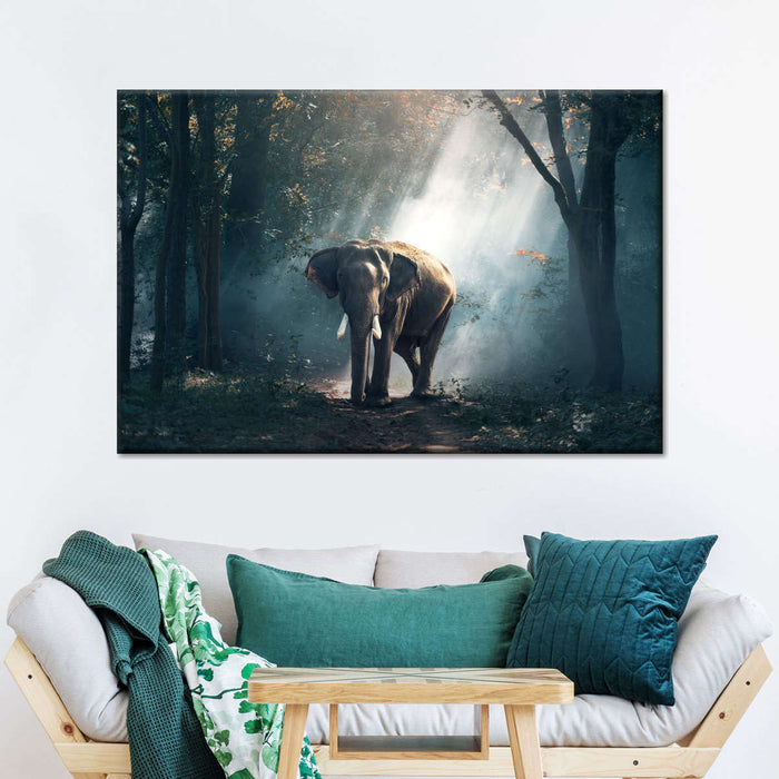 ElephantStock African Forest Elephant Wall Art